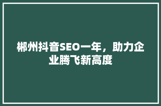 郴州抖音SEO一年，助力企业腾飞新高度