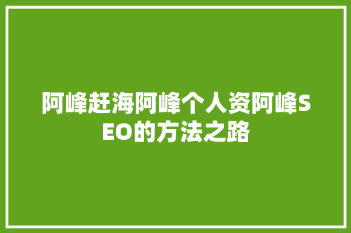 阿峰赶海阿峰个人资阿峰SEO的方法之路