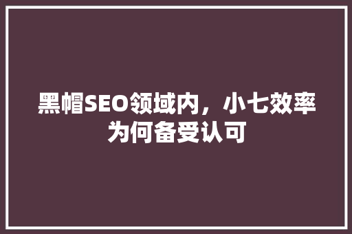 黑帽SEO领域内，小七效率为何备受认可