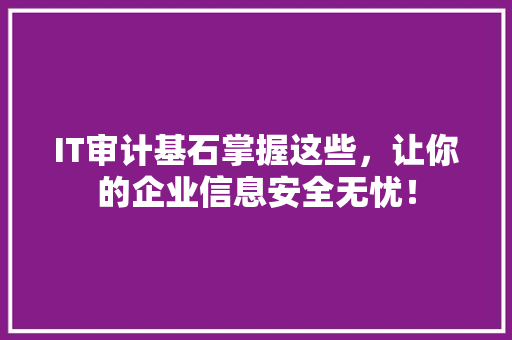 IT审计基石掌握这些，让你的企业信息安全无忧！ 商务信函