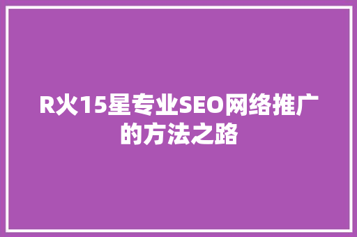 R火15星专业SEO网络推广的方法之路