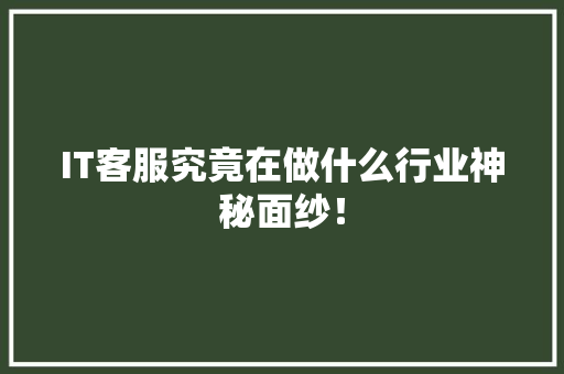IT客服究竟在做什么行业神秘面纱！ 缓存Redis
