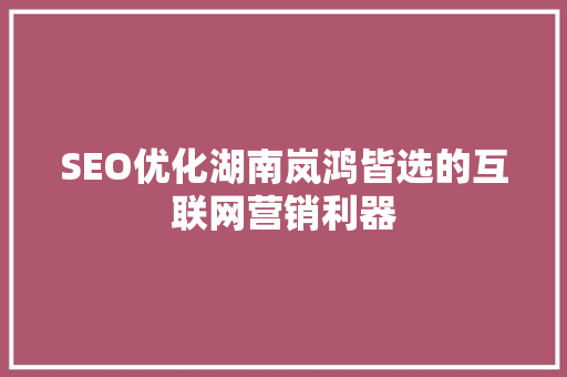SEO优化湖南岚鸿皆选的互联网营销利器