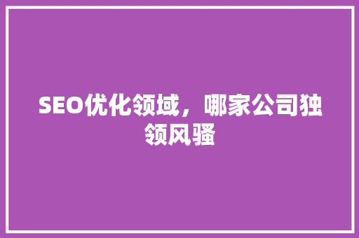 SEO优化领域，哪家公司独领风骚