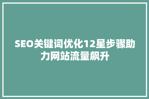 SEO关键词优化12星步骤助力网站流量飙升
