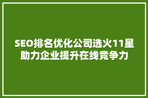 SEO排名优化公司选火11星助力企业提升在线竞争力