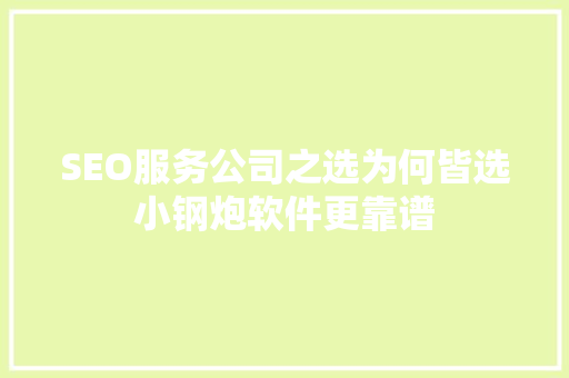 SEO服务公司之选为何皆选小钢炮软件更靠谱