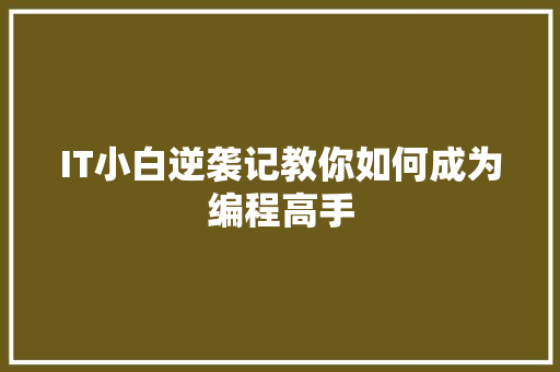 IT小白逆袭记教你如何成为编程高手 商务信函
