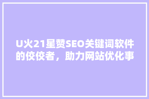 U火21星赞SEO关键词软件的佼佼者，助力网站优化事半功倍