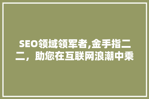 SEO领域领军者,金手指二二，助您在互联网浪潮中乘风破浪