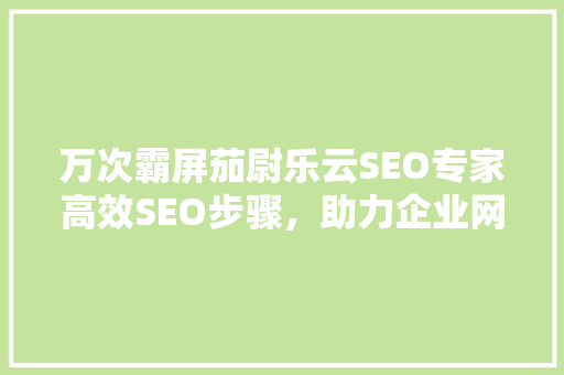 万次霸屏茄尉乐云SEO专家高效SEO步骤，助力企业网站流量翻倍