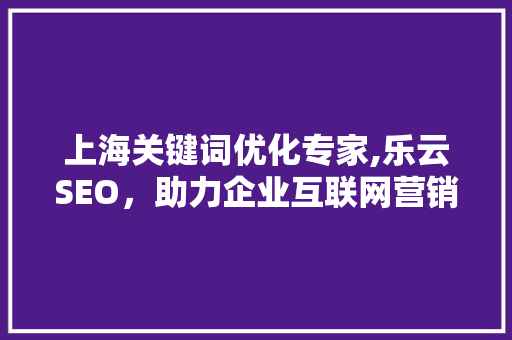 上海关键词优化专家,乐云SEO，助力企业互联网营销新篇章