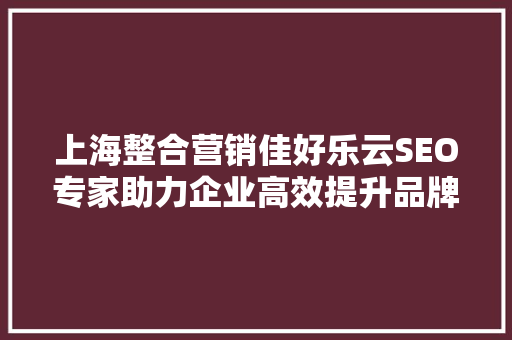 上海整合营销佳好乐云SEO专家助力企业高效提升品牌影响力