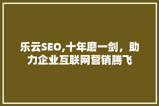 乐云SEO,十年磨一剑，助力企业互联网营销腾飞