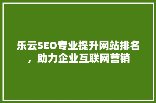 乐云SEO专业提升网站排名，助力企业互联网营销