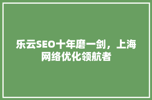 乐云SEO十年磨一剑，上海网络优化领航者