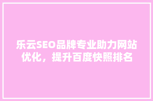 乐云SEO品牌专业助力网站优化，提升百度快照排名