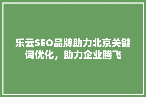 乐云SEO品牌助力北京关键词优化，助力企业腾飞
