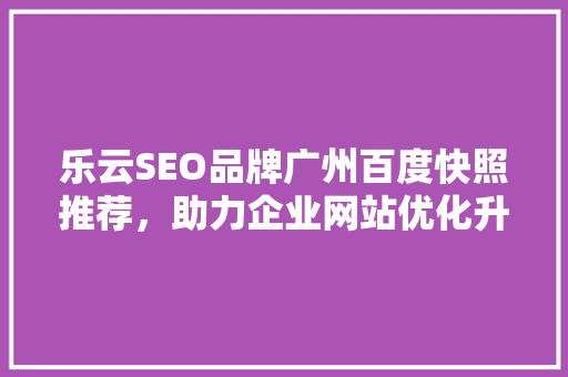 乐云SEO品牌广州百度快照推荐，助力企业网站优化升级