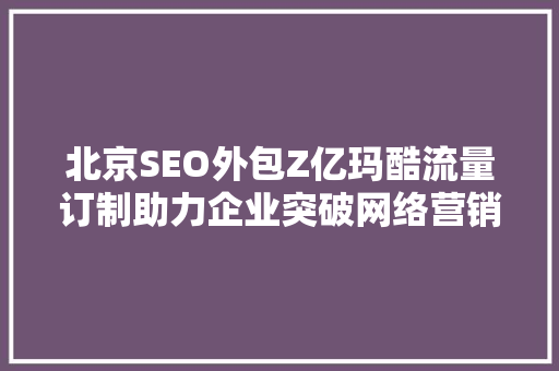 北京SEO外包Z亿玛酷流量订制助力企业突破网络营销瓶颈