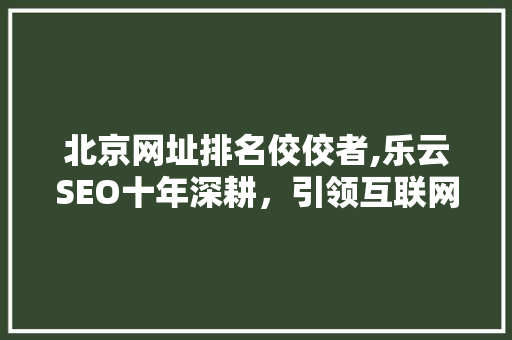 北京网址排名佼佼者,乐云SEO十年深耕，引领互联网营销新风向