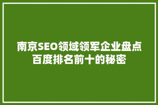 南京SEO领域领军企业盘点百度排名前十的秘密