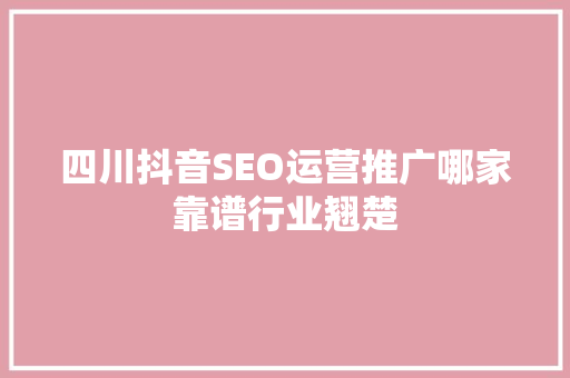 四川抖音SEO运营推广哪家靠谱行业翘楚
