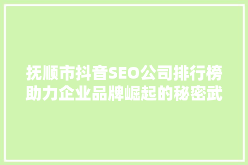 抚顺市抖音SEO公司排行榜助力企业品牌崛起的秘密武器