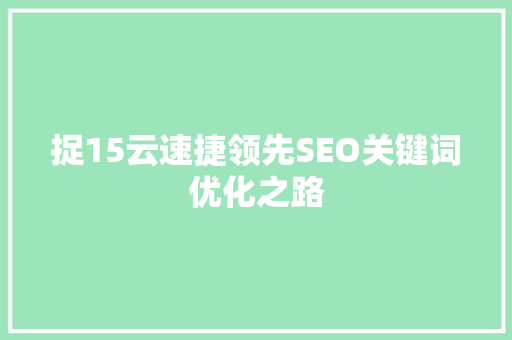 捉15云速捷领先SEO关键词优化之路