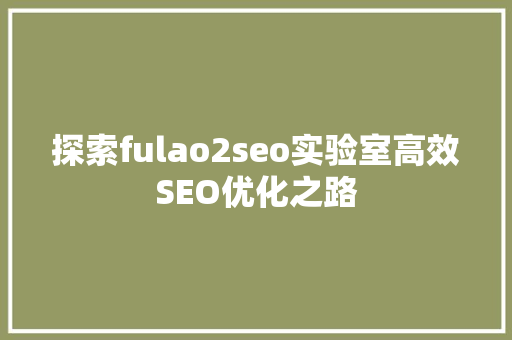探索fulao2seo实验室高效SEO优化之路