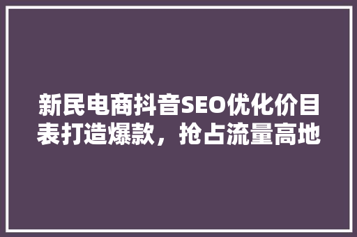 新民电商抖音SEO优化价目表打造爆款，抢占流量高地