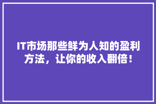 IT市场那些鲜为人知的盈利方法，让你的收入翻倍！ 网站建设