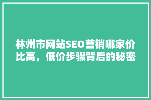 林州市网站SEO营销哪家价比高，低价步骤背后的秘密