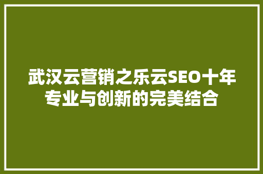 武汉云营销之乐云SEO十年专业与创新的完美结合