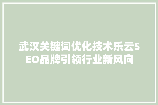 武汉关键词优化技术乐云SEO品牌引领行业新风向