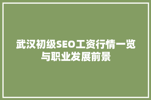 武汉初级SEO工资行情一览与职业发展前景