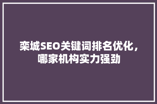 栾城SEO关键词排名优化，哪家机构实力强劲