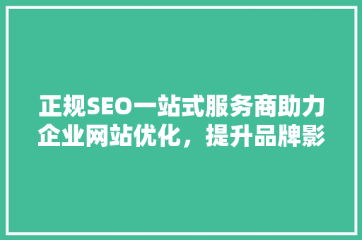 正规SEO一站式服务商助力企业网站优化，提升品牌影响力