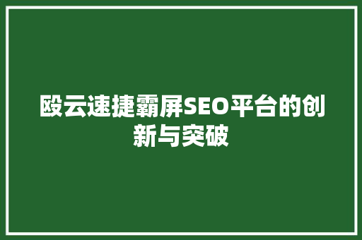 殴云速捷霸屏SEO平台的创新与突破