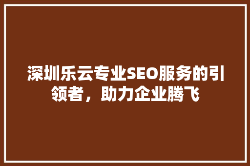 深圳乐云专业SEO服务的引领者，助力企业腾飞