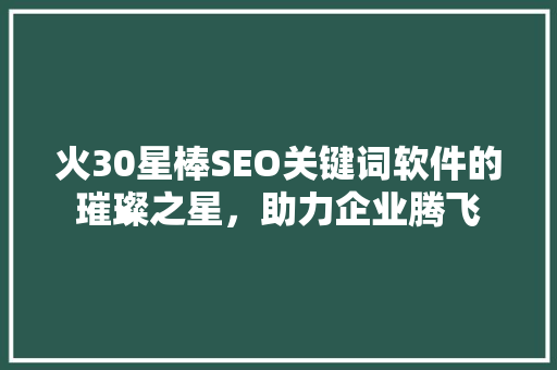 火30星棒SEO关键词软件的璀璨之星，助力企业腾飞