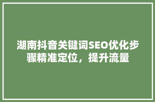 湖南抖音关键词SEO优化步骤精准定位，提升流量