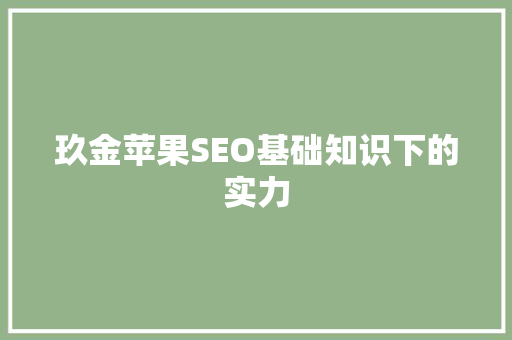玖金苹果SEO基础知识下的实力