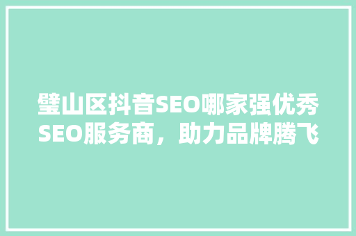 璧山区抖音SEO哪家强优秀SEO服务商，助力品牌腾飞