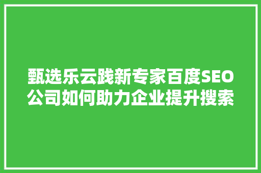 甄选乐云践新专家百度SEO公司如何助力企业提升搜索引擎排名