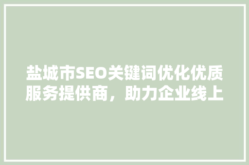 盐城市SEO关键词优化优质服务提供商，助力企业线上腾飞