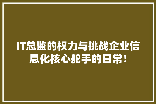 IT总监的权力与挑战企业信息化核心舵手的日常！