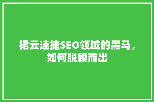 裙云速捷SEO领域的黑马，如何脱颖而出