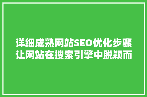 详细成熟网站SEO优化步骤让网站在搜索引擎中脱颖而出