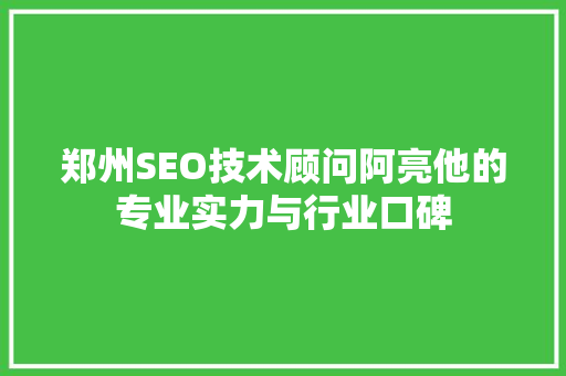 郑州SEO技术顾问阿亮他的专业实力与行业口碑